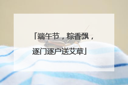 端午节，粽香飘，逐门逐户送艾草