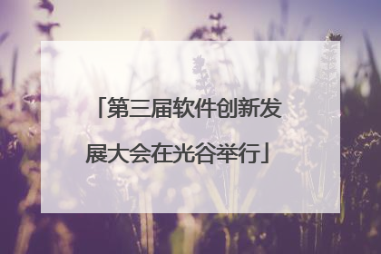 第三届软件创新发展大会在光谷举行