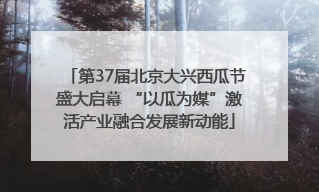 第37届北京大兴西瓜节盛大启幕 “以瓜为媒”激活产业融合发展新动能