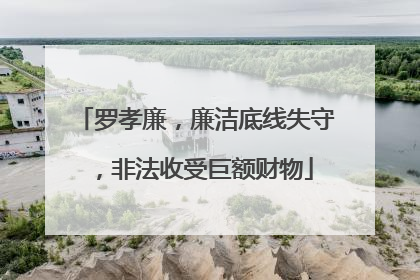 罗孝廉，廉洁底线失守，非法收受巨额财物