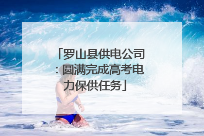 罗山县供电公司：圆满完成高考电力保供任务