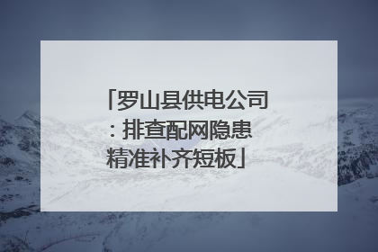 罗山县供电公司：排查配网隐患 精准补齐短板