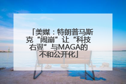 美媒：特朗普马斯克“闹崩”让“科技右翼”与MAGA的不和公开化