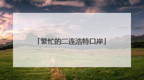 繁忙的二连浩特口岸