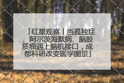 红星观察丨当孤独症、阿尔茨海默病、脑胶质瘤遇上脑机接口，成都科研改变医学图景