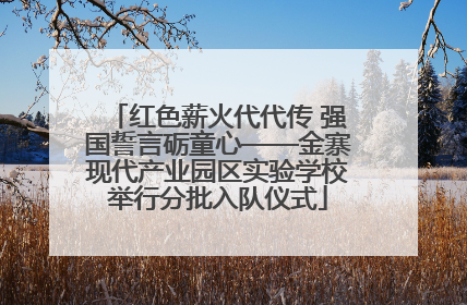 红色薪火代代传 强国誓言砺童心——金寨现代产业园区实验学校举行分批入队仪式