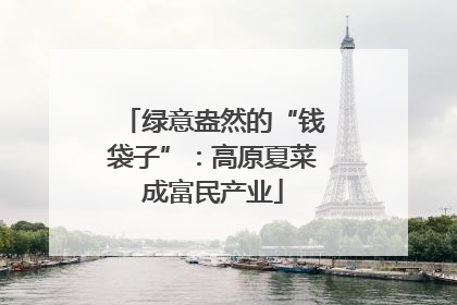 绿意盎然的“钱袋子”：高原夏菜成富民产业