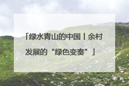 绿水青山的中国丨余村发展的“绿色变奏”