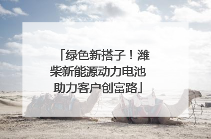 绿色新搭子！潍柴新能源动力电池助力客户创富路