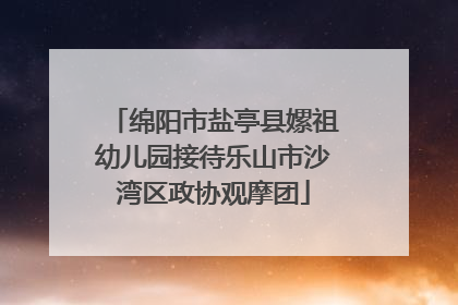 绵阳市盐亭县嫘祖幼儿园接待乐山市沙湾区政协观摩团