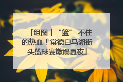 组图丨“篮” 不住的热血！常德白马湖街头篮球赛燃爆夏夜
