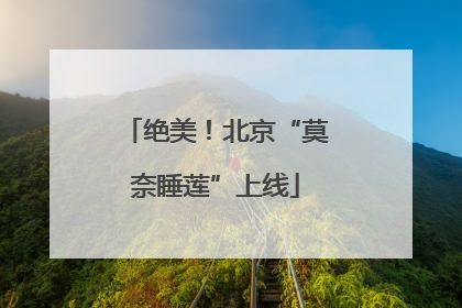 绝美！北京“莫奈睡莲”上线