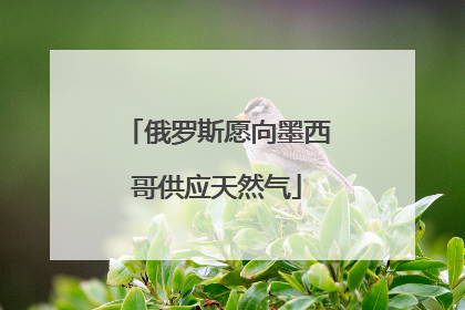 俄罗斯愿向墨西哥供应天然气