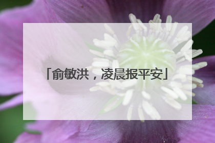 俞敏洪，凌晨报平安
