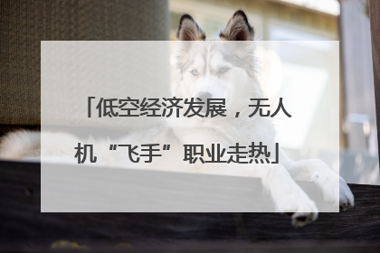 低空经济发展，无人机“飞手”职业走热