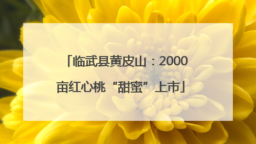 临武县黄皮山：2000亩红心桃“甜蜜”上市