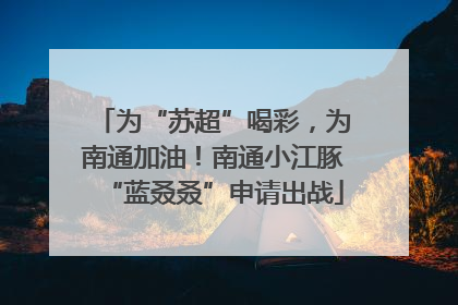 为“苏超”喝彩，为南通加油！南通小江豚“蓝叒叒”申请出战