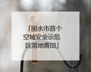 丽水市首个空域安全示范区落地青田