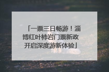 一票三日畅游！淄博红叶柿岩门票新政开启深度游新体验