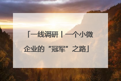 一线调研丨一个小微企业的“冠军”之路