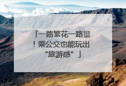 一路繁花一路景！乘公交也能玩出“旅游感”
