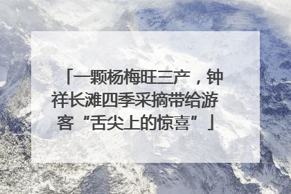 一颗杨梅旺三产，钟祥长滩四季采摘带给游客“舌尖上的惊喜”