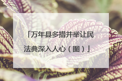 万年县多措并举让民法典深入人心（图）