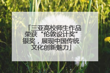 三亚高校师生作品荣获“伦敦设计奖”银奖，展现中国传统文化创新魅力