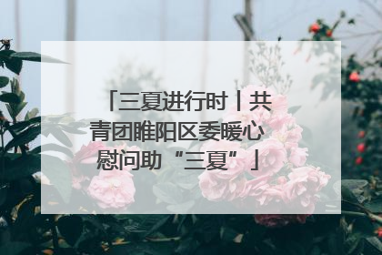 三夏进行时丨共青团睢阳区委暖心慰问助“三夏”