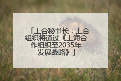 上合秘书长：上合组织将通过《上海合作组织至2035年发展战略》