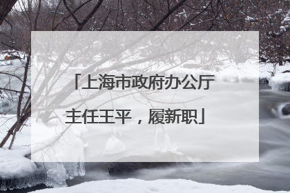 上海市政府办公厅主任王平，履新职