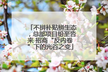 不拼补贴拼生态，总部项目纷至沓来 招商“反内卷”下的光谷之变