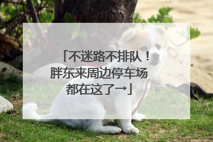 不迷路不排队！胖东来周边停车场都在这了→