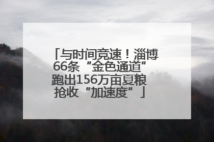 与时间竞速！淄博66条“金色通道”跑出156万亩夏粮抢收“加速度”