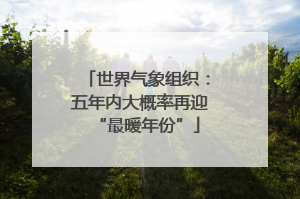 世界气象组织：五年内大概率再迎“最暖年份”