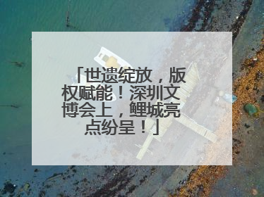 世遗绽放，版权赋能！深圳文博会上，鲤城亮点纷呈！