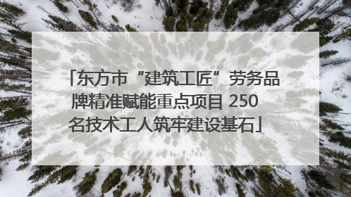 东方市“建筑工匠”劳务品牌精准赋能重点项目 250名技术工人筑牢建设基石