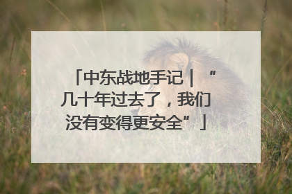 中东战地手记｜“几十年过去了，我们没有变得更安全”