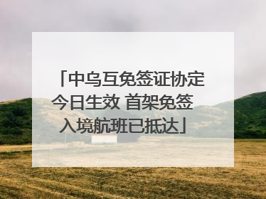 中乌互免签证协定今日生效 首架免签入境航班已抵达