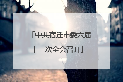 中共宿迁市委六届十一次全会召开