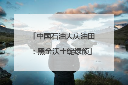 中国石油大庆油田：黑金沃土绽绿颜
