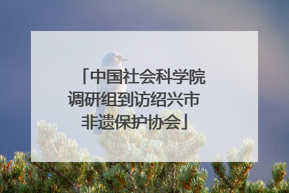中国社会科学院调研组到访绍兴市非遗保护协会