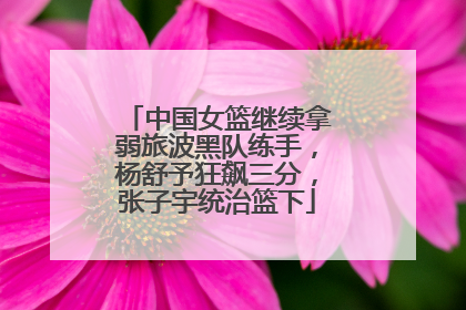 中国女篮继续拿弱旅波黑队练手，杨舒予狂飙三分，张子宇统治篮下