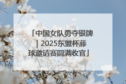 中国女队勇夺银牌｜2025东盟杯藤球邀请赛圆满收官
