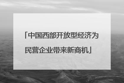 中国西部开放型经济为民营企业带来新商机