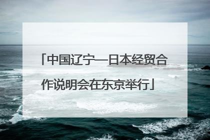 中国辽宁—日本经贸合作说明会在东京举行