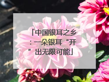 中国银耳之乡：一朵银耳“开”出无限可能