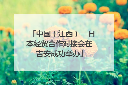 中国（江西）—日本经贸合作对接会在吉安成功举办