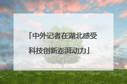 中外记者在湖北感受科技创新澎湃动力
