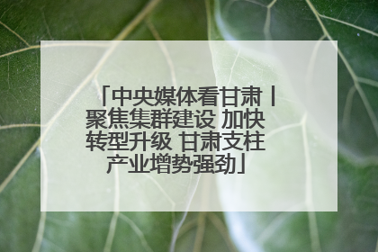 中央媒体看甘肃丨聚焦集群建设 加快转型升级 甘肃支柱产业增势强劲